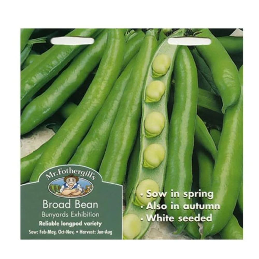 Mr Fothergills Mr Fothergill's 21946 Vegetable Seeds, Broad Bean Bunyards Exhibition,White,100 cm