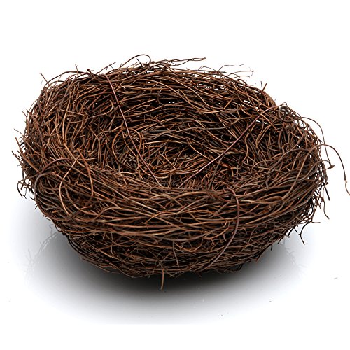 Delight eShop, Handmade Bird Nest House(Vine), Home Nature Craft best for Wedding Decor, Party Decor and Home Decor (4.8inch Diameter)