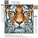 Fairylove Diamond Painting Kits for Adults, 5D DIY Full Drill Diamond Painting Kits for Home Wall Decor, Conquering Tiger Arts Craft, 12 x 12 inch