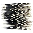 Heyiwell 5Pieces African Porcupine Quills 8"~9" Inch Long