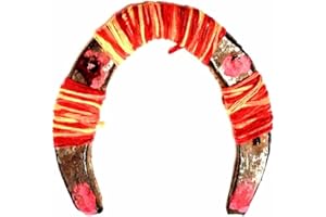 Billion Deals Authentic Feng Shui Cast Iron Real Horseshoe With Kalwa Iron Shoe Kale Ghode ki Naal For Good Luck Charm Rustic Lucky Positive Energy