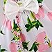 RJXDLT Baby Girls Sling Bowknot Lemon Print Skirt Dress 0-6 Months Pink