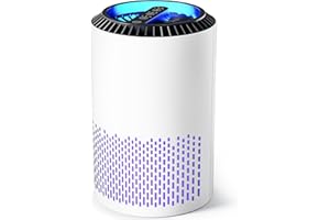 Air Purifiers for Bedroom Home, H13 True HEPA Filter Cleaner with Fragrance Sponge Covers up to 386 Sq Ft, for 99.97% Smoke, 