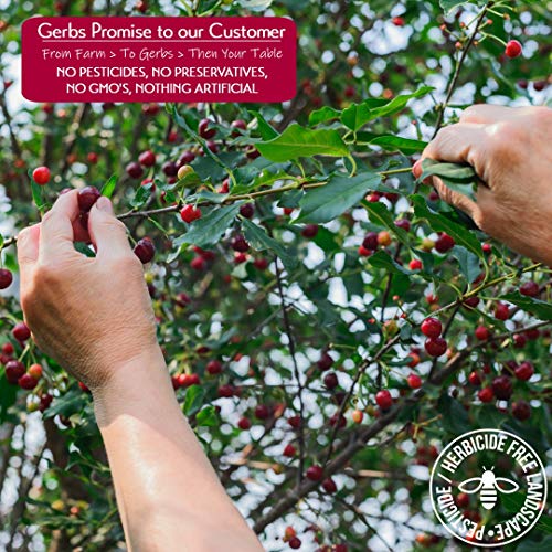 GERBS Dried Cherries 2 LBS. Freshly Dehydrated Resealable Bulk Bag