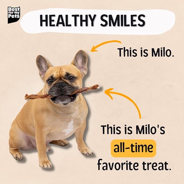 BEST FOR MY PETS BRAIDED BULLY STICKS FOR DOGS (6 INCH, 6 PACK) – PREMIUM LONG LASTING DOG CHEW TREATS TO KEEP PUPPIES AND DOGS HAPPILY BUSY – DOG DENTAL CHEWS – FULLY DIGESTIBLE RAWHIDE-FREE TREATS