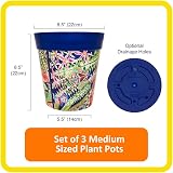 Hum Flowerpots 22cm Set of 3 Indoor Outdoor Plastic Plant Pots Blue Leaves view 2