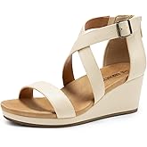 DREAM PAIRS Women's Open Toe Buckle Ankle Strap Summer Platform Wedge Sandals