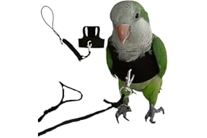 BARN ELEVEN Bird Flight Harness Vest, Parrot Flight Suit with Leash for Parakeets Cockatiels Conures Budgies, Bird Flying Clothes with Rope and Handle for Outdoor Activities Training, Anti Bite (Medium)