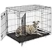 Dog Crate | MidWest Life Stages 36" Double Door Folding Metal Dog Crate | Divider Panel, Floor Protecting Feet, Leak-Proof Dog Tray | 36L x 24W x 27H Inches, Intermediate Dog Breed