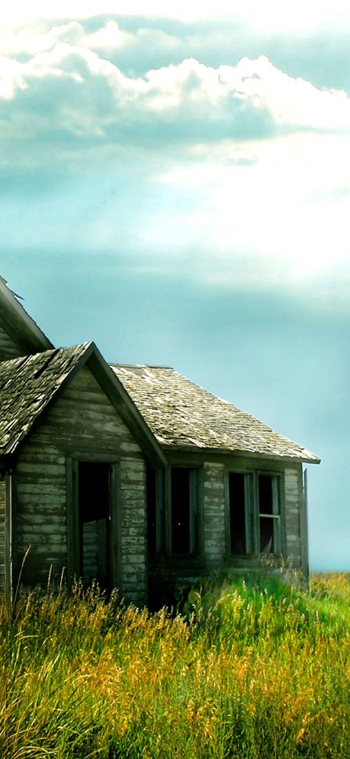 PeelitStickit, Beautiful Nature Wall Murals, ID-1951, vinyl