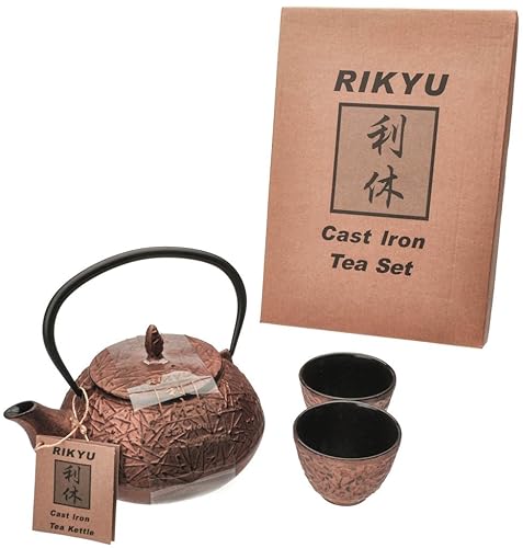 M.V. Ensemble de théière en fonte Rikyu Rkts508cp