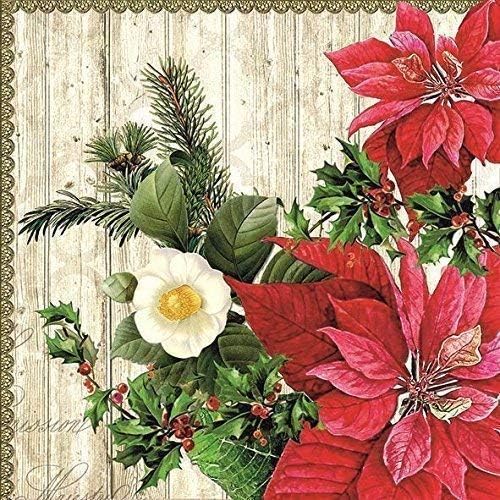Stella Di Natale Tovaglioli Di Carta.Stella Di Natale Agrifoglio Foglie Natale Sbalzato 13 X 13 33cm X 33cm 20x 3 Pieghe Tovaglioli Di Carta Amazon It Giardino E Giardinaggio