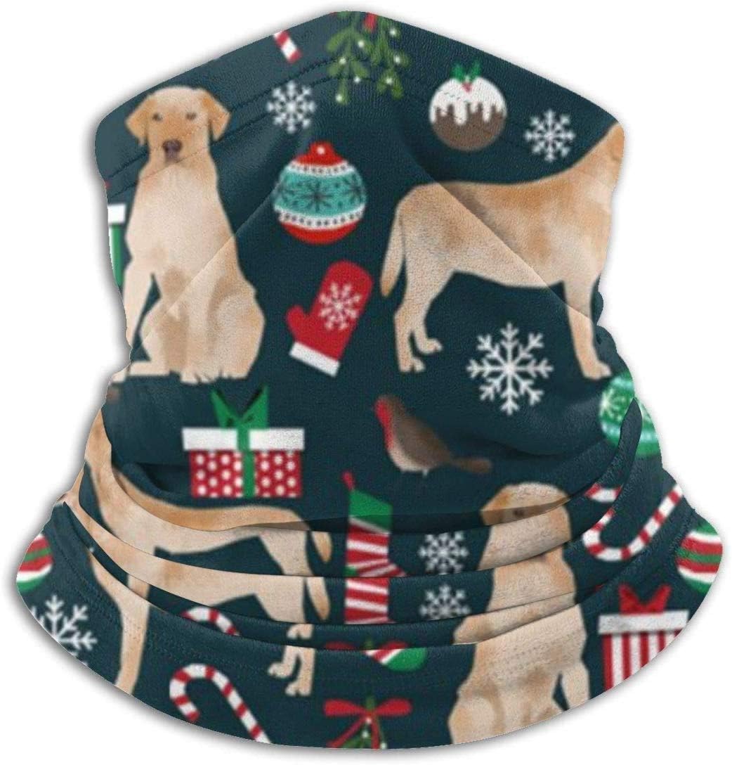 Fleece Neck Warmer Men & Women Soft Mask Cute Labrador Retriever Neck Gaiter Tube Ski Face Mask Balaclava Half Mask Motorcycling Face Scarf Bandana, Mask, Headband & Beanie