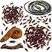 Fake Snake Fake Poo Realistic Roaches Prank Kits for Halloween April Fool's Day Prank Supplies Party Decoration Garden Props and Practical Joke