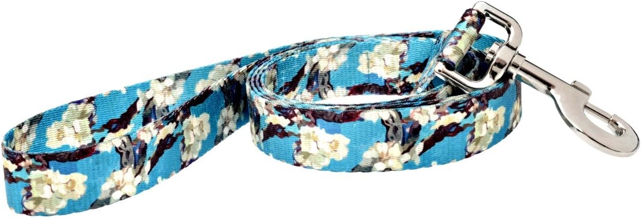 DoggyRide Fashion Dog Leash, 5-Feet, Van Gogh Almond Blossom, Turquoise/Cream