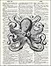 Fresh Prints of CT Dictionary Art Print - Octopus - Printed on Recycled Vintage Dictionary Paper - 8