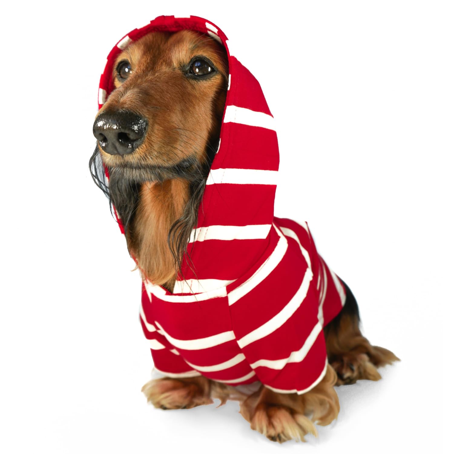 DJANGO Dog Hoodie - Soft, Stretchy, & Cozy Sweatshirts for Dogs - Red Winter Dog Sweaters for Dachshunds and Small Dogs - Machine Washable Warm Hoodie for Dogs with Elastic Waistband and Harness Hole
