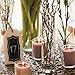Libbey Cylinder 12-piece Bud Vase Set