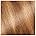 H2 Golden Blonde (Sugar Cane)