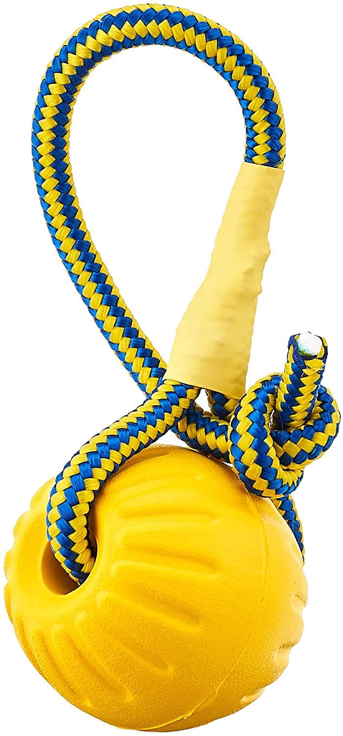 ACE SWING N FLING DOG BALL LARGE