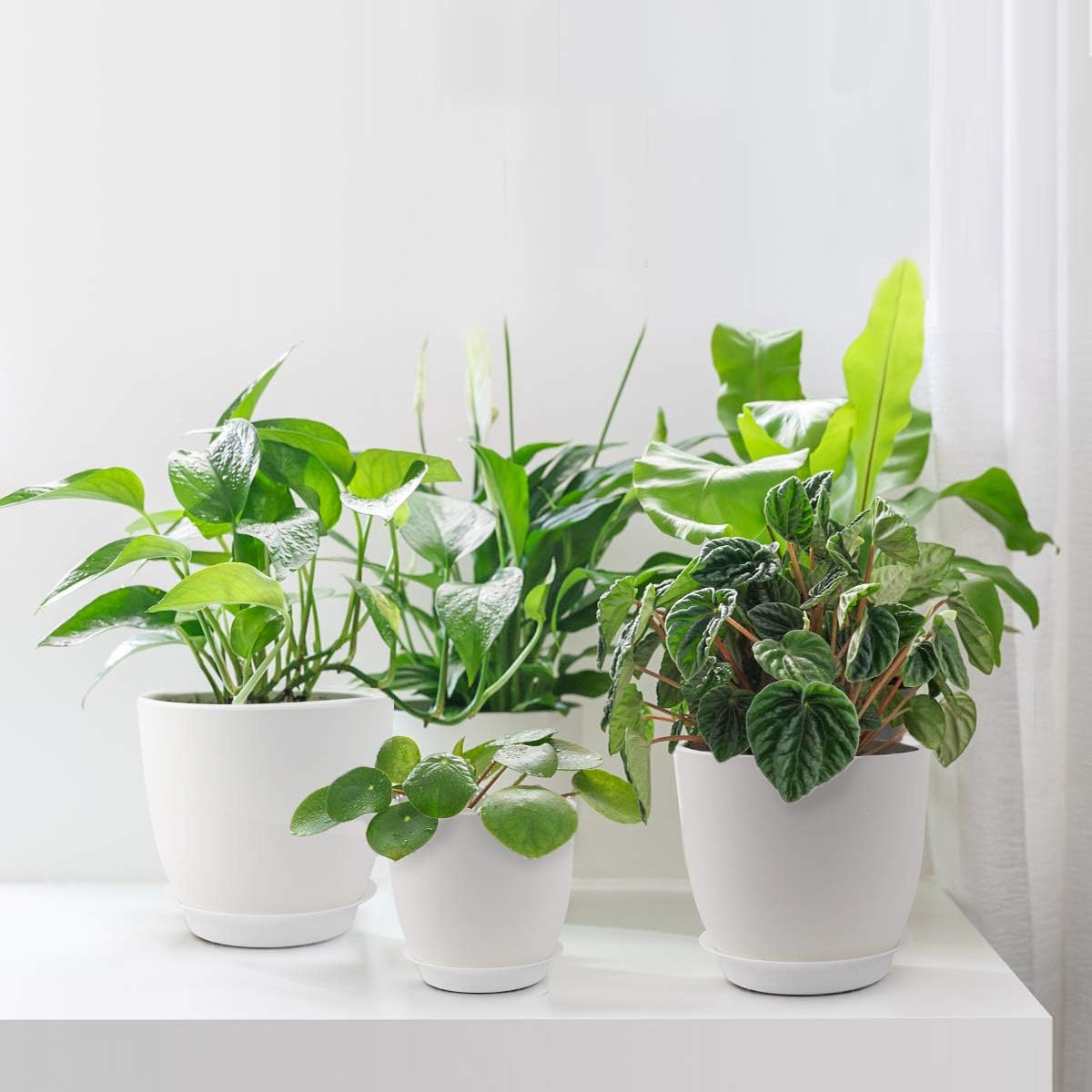 Plastic Planter, HOMENOTE 7/6/5.5/4.5/3.5 Inch Flower Pot Indoor Modern Decorative Plastic Pots for Plants with Drainage Hole and Tray for All House Plants, Succulents, Flowers, and Cactus, White: Kitchen & Dining