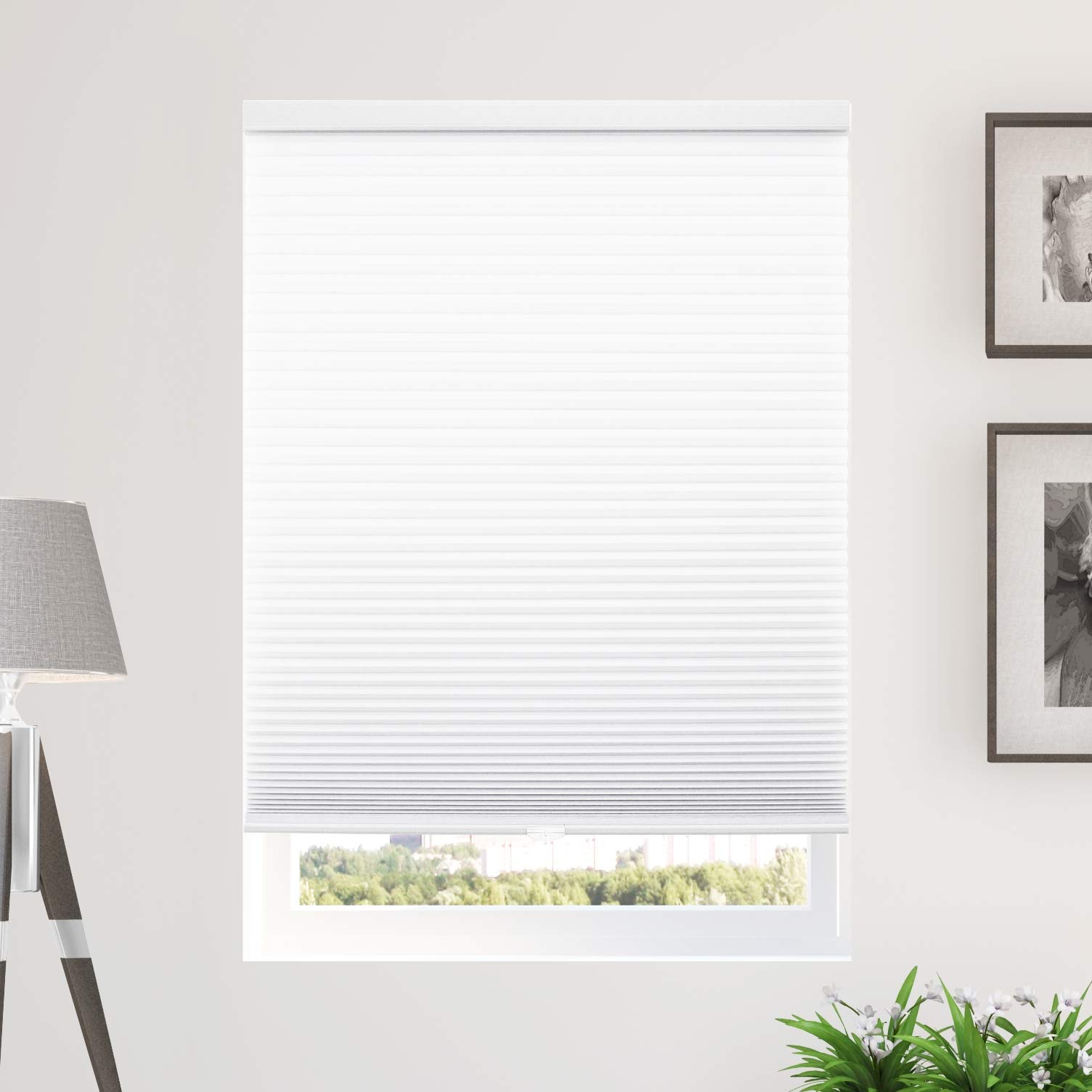 CHICOLOGY Cordless Cellular Shades Privacy Single Cell Window Blind, 54" W X 64" H, Morning Mist Light Filtering