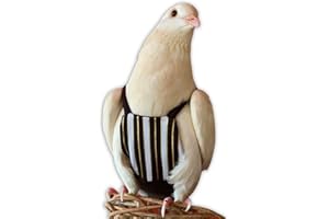 Bev's Bird Boutique Regular Flyper Adjustable Bird Diaper | Reusable, Washable Cloth | Comfort Fit for Parrot, Cockatiels, & Other Small Birds | Fashionable Avian Accessories, Regal, Size 7.5