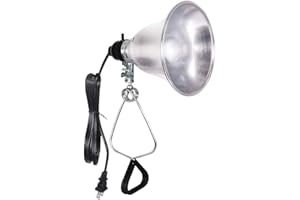 Simple Deluxe Clamp Lamp Light 60 Watt with 5.5 Inch Aluminum Reflector (no Bulb Included), 6 Feet Cord, 1 Pack, Black