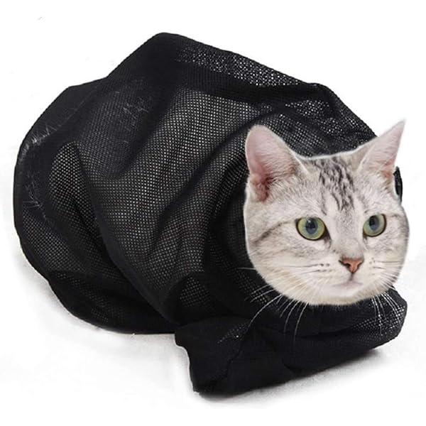 best cat restraint bag