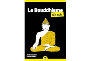 LE BOUDDHISME POCHE POUR LES NULS NE