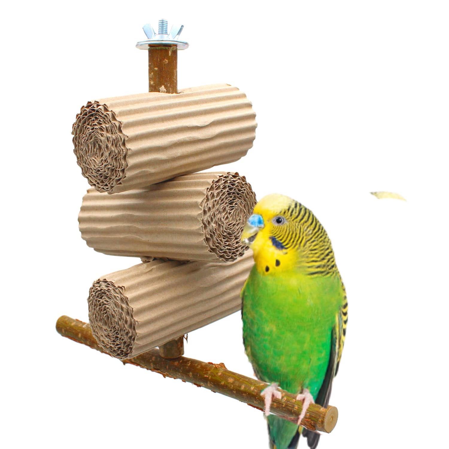 Nibble Bird of Paradise – Long Is This Bird Playground Activity.