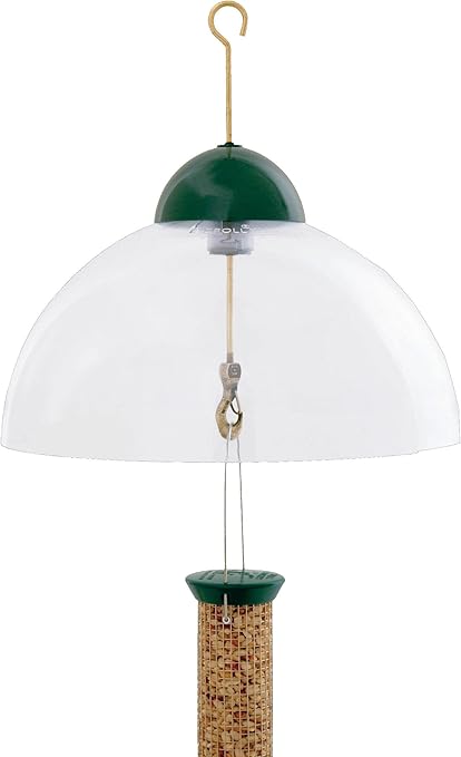 Amazon Com Squirrel Guard Feeder Dome Health Personal Care
