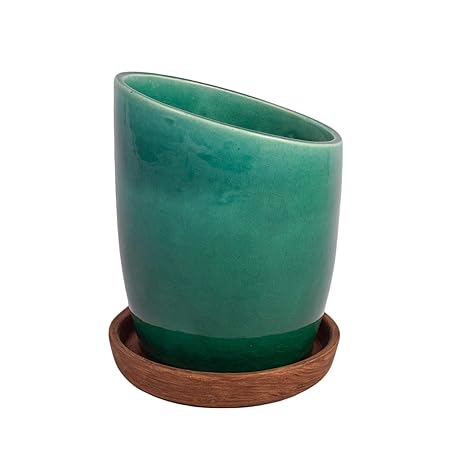 Lasaki Ayana with Plate Tray Ceramic Pots for Indoor Plants,Planters,Flower pots,gamla for Indoor,Outdoor,Succulent Pot(Color:Green, Plate: Antique)