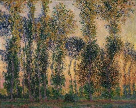 Amazon Com Oil Painting Claude Monet Poplars At Giverny 1887