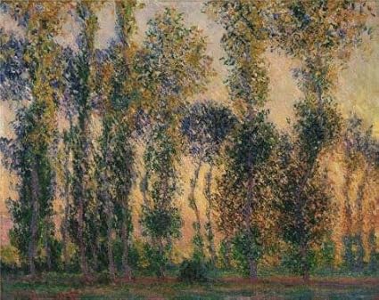 Amazon Com Oil Painting Claude Monet Poplars At Giverny 1887