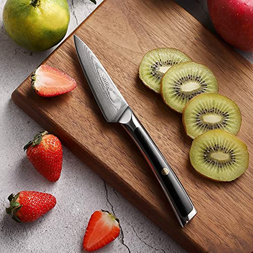 Sunnecko Paring Knife 3.5 Inch, Small Knife Damascus Steel VG-10 Blade Fruit Knife, Peeling Knife with G10 Inlaid Handle Small Kitchen Knife Perfect for Cutting Fruit Vegetables Petty Knife