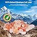 AMIR Salt Lamp, Natural Himalayan Salt Rock Lamp, 2 Pack Salt Crystal Night Lights with Modern Design Metal Lampshade, UL Approved Wall Plug, for Decoration, Lighting, Air Purifying, 4 Bulbs Included