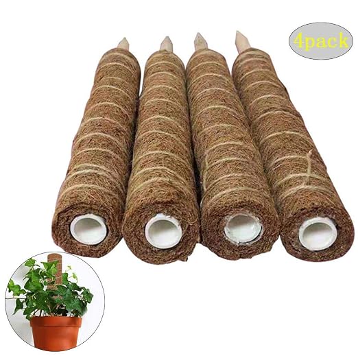 Rvest - Palo de Musgo de Fibra de Coco Natural y orgánico, Poste ...