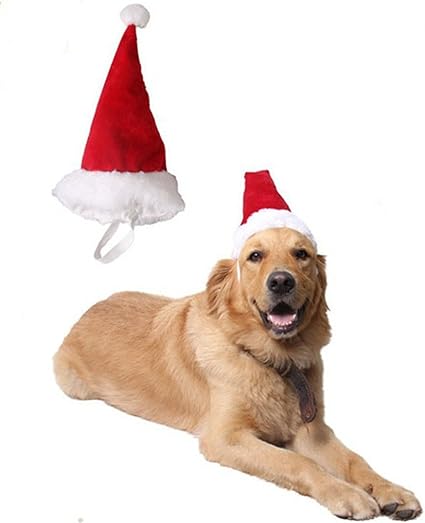 Produits Pour Animaux De Compagnie Noël Chien Coiffe Grand