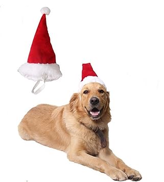 Hund Katze Haustier Lieferungen Weihnachten Kopfschmuck Groß Mittelgroßer Kleiner Hund Rote Weihnachtsmütze Stillshine