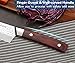 PAUDIN Chef Knife 8 Inch, Ultra Sharp Professional Chef Knife, High Carbon German Stainless Steel Kitchen Knives with Ergonomic ABS Handle, Kitchen Knife for Home & Restaurant