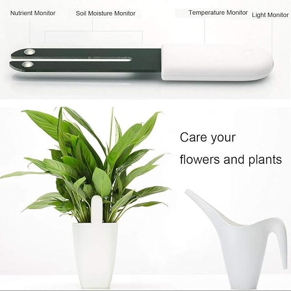 for HHCC Flora Pflanzen Clever 4 in 1 Smart Plant Luftfeuchtigkeit Helligkeit Dnger Temperaturmit Bluetooth und App Kontrolle