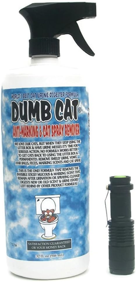 Best Cat Vomit On Carpet