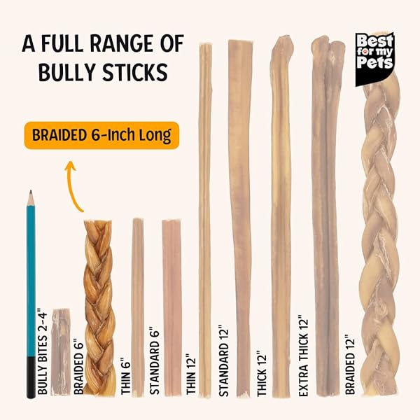BEST FOR MY PETS BRAIDED BULLY STICKS FOR DOGS (6 INCH, 6 PACK) – PREMIUM LONG LASTING DOG CHEW TREATS TO KEEP PUPPIES AND DOGS HAPPILY BUSY – DOG DENTAL CHEWS – FULLY DIGESTIBLE RAWHIDE-FREE TREATS