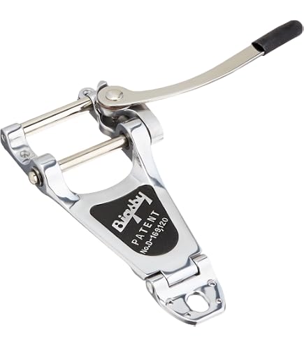 Amazon.com: Vibramate V7-LP Mounting Kit for Bigsby B7 Carved Top