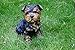 Michael Carr Designs Sergeant York Yorkshire Terrier Puppy S Outdoor Puppy Dog Figurine for Gardens, patios and lawns (80091) Black