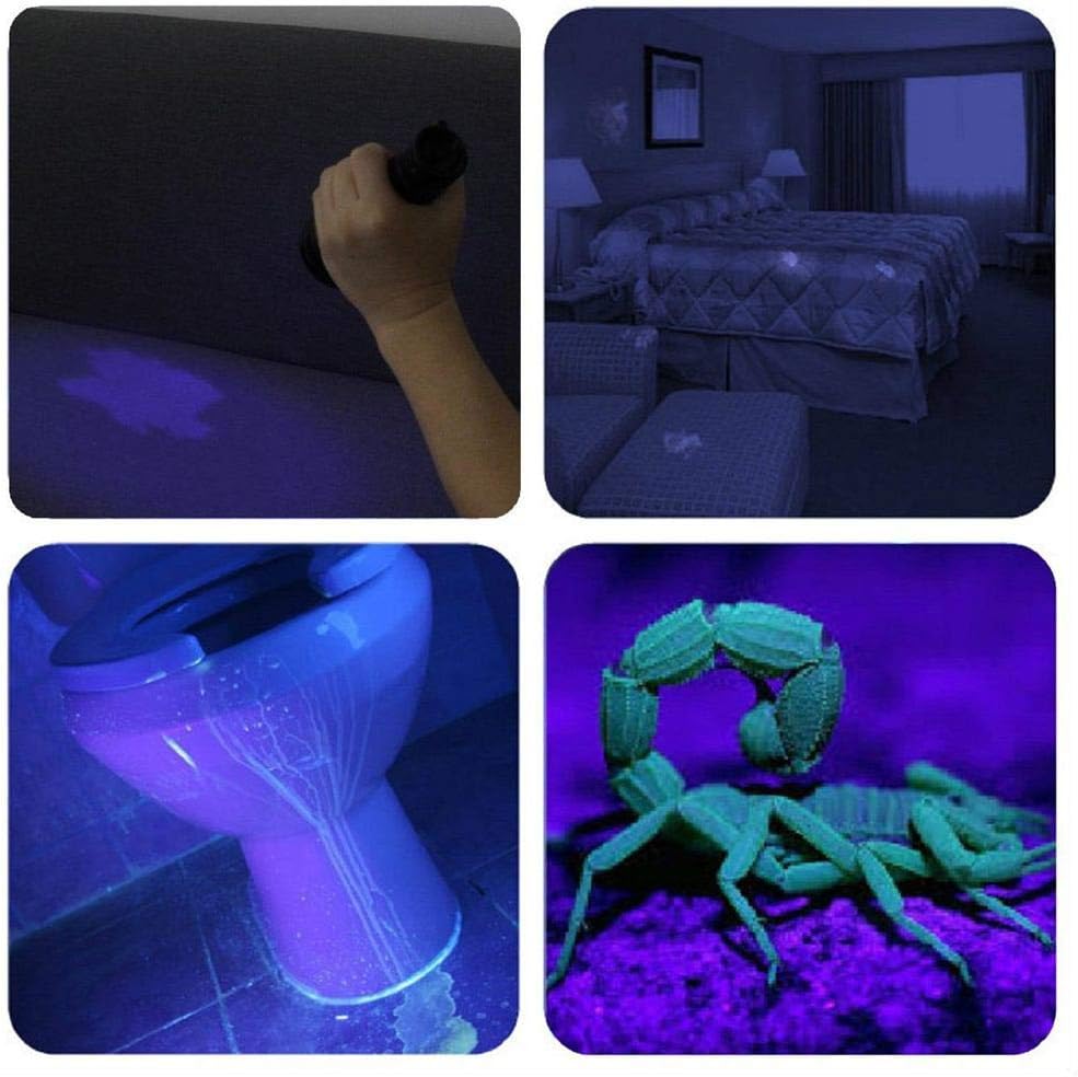UV Blacklight Flashlight, 395nm Mini UV Light - Zoomable UV Urine Detector Flashlight for Dogs/Cats Urine, Dry Stains, Resin Curing and A/C Leak Detection (Batteries Included) - - 