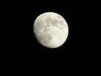 Review Image by Dixie Dixie