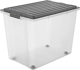 Rotho – Caja para Guardar Compact Transparente con Tapa, plástico, Transparente y Gris, A3 / 70 l 