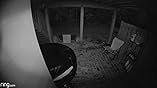 Amazon.com: Ring Floodlight Camera Motion-Activated HD